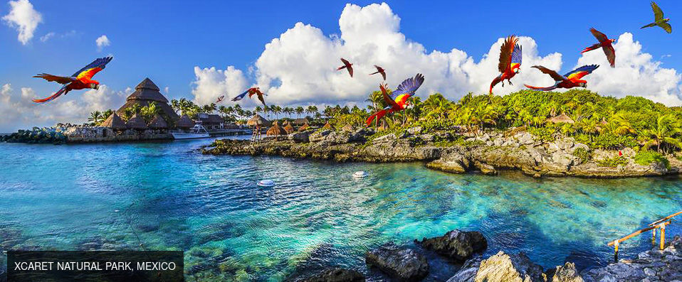 Occidental at Xcaret Destination ★★★★★ All Inclusive - A luxury hotel and exotic eco-park partnered with a Mexican sun and sea holiday. - Playa del Carmen, Mexico