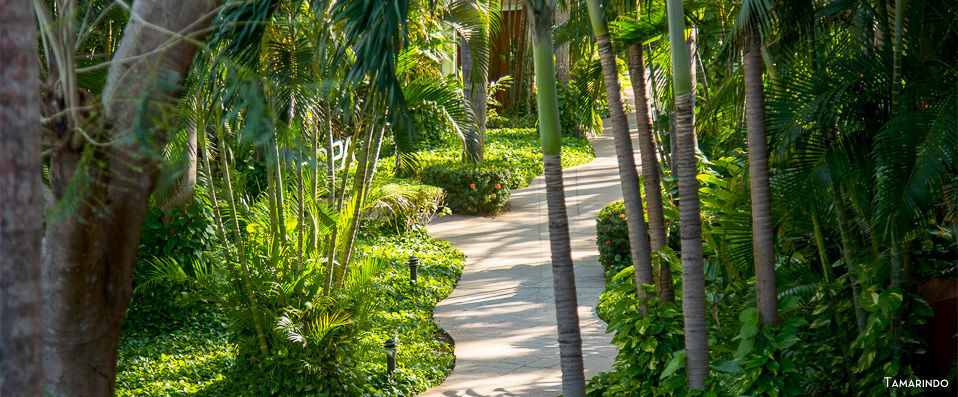 Circuit Nature de luxe au Costa Rica - Entre luxe et nature : à la découverte du Costa Rica avec guide francophone ou en autotour. - Costa Rica