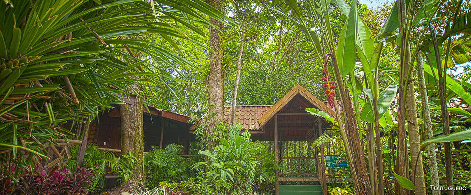 Circuit Nature de luxe au Costa Rica - Entre luxe et nature : à la découverte du Costa Rica avec guide francophone ou en autotour. - Costa Rica