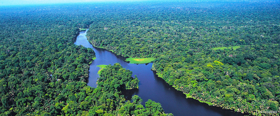 Circuit Nature de luxe au Costa Rica - Entre luxe et nature : à la découverte du Costa Rica avec guide francophone ou en autotour. - Costa Rica