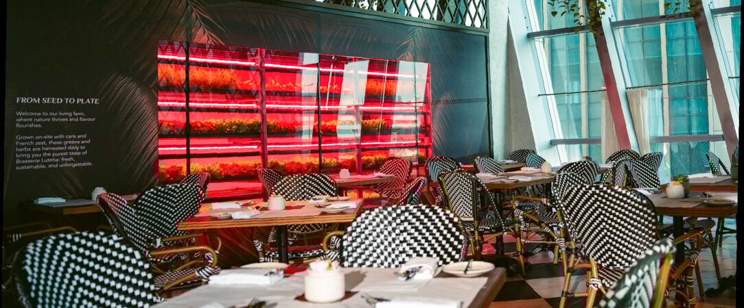 Sofitel Dubai Downtown ★★★★★ - Séjour entre art de vivre français et culture dubaïote. - Dubaï, Émirats arabes unis
