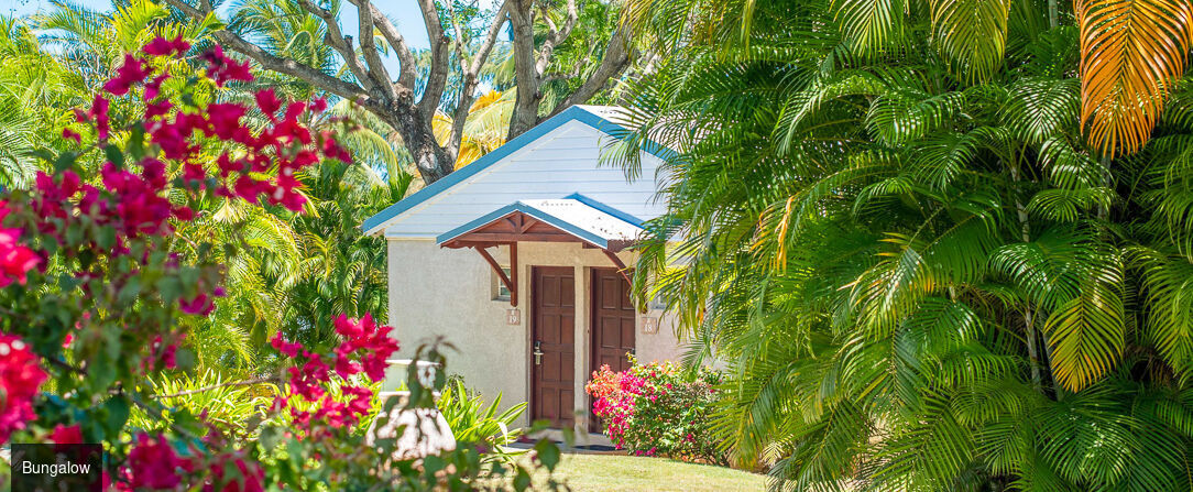 Le Relais du Moulin ★★★★ - Adults Only - Cadre idyllique au cœur d’un jardin tropical. - Guadeloupe, France