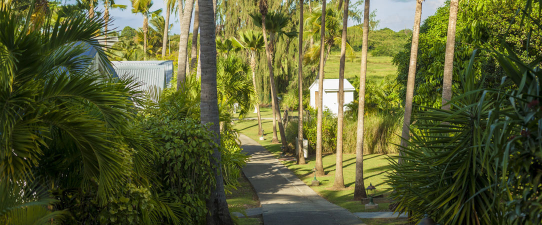 Le Relais du Moulin ★★★★ - Adults Only - Cadre idyllique au cœur d’un jardin tropical. - Guadeloupe, France