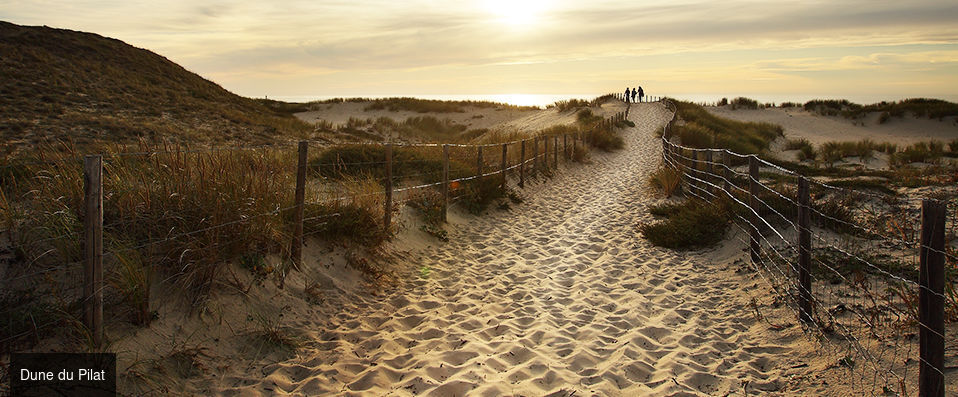 Côté Sable ★★★★ - Le bassin d’Arcachon est à vos pieds ! - Cap Ferret, France