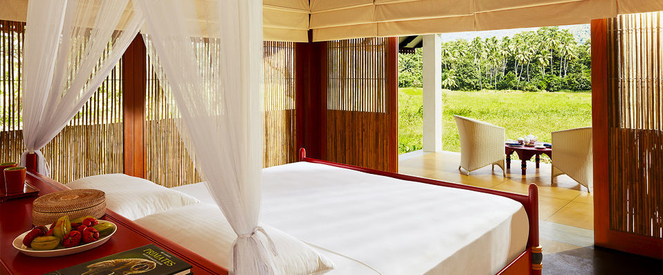 Sri Lanka Boutique Tour ★★★★★  - A bespoke journey through paradise, adventure and unadulterated luxury - Sri Lanka