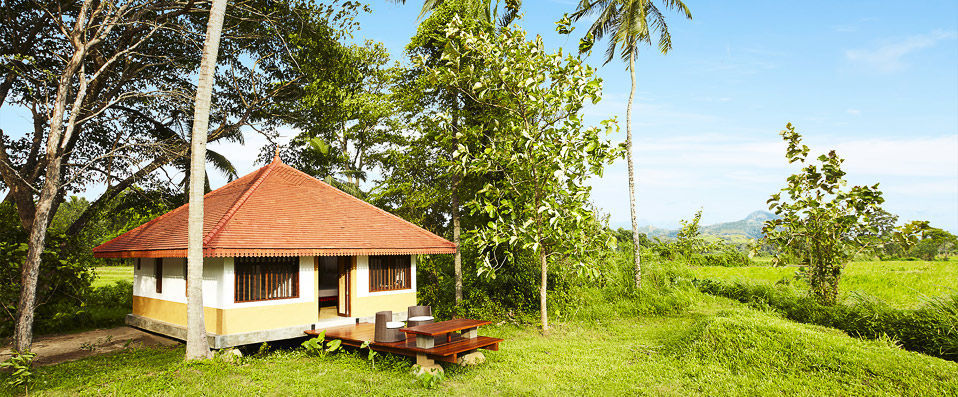 Sri Lanka Boutique Tour ★★★★★  - A bespoke journey through paradise, adventure and unadulterated luxury - Sri Lanka