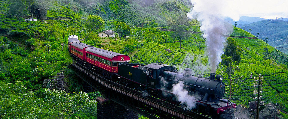 Sri Lanka Boutique Tour ★★★★★  - A bespoke journey through paradise, adventure and unadulterated luxury - Sri Lanka