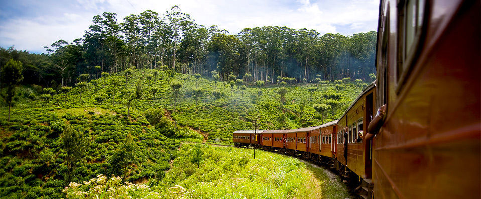 Sri Lanka Boutique Tour ★★★★★  - A bespoke journey through paradise, adventure and unadulterated luxury - Sri Lanka