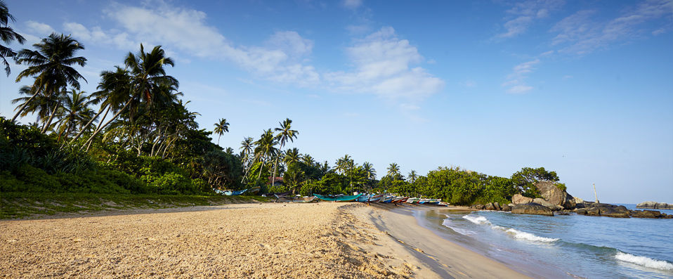 Sri Lanka Boutique Tour ★★★★★  - A bespoke journey through paradise, adventure and unadulterated luxury - Sri Lanka