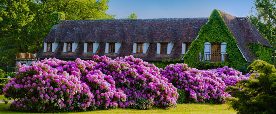 Auberge des Templiers ★★★★★ - A picture-perfect romantic setting in the lush Loire Valley - Loire Valley, France