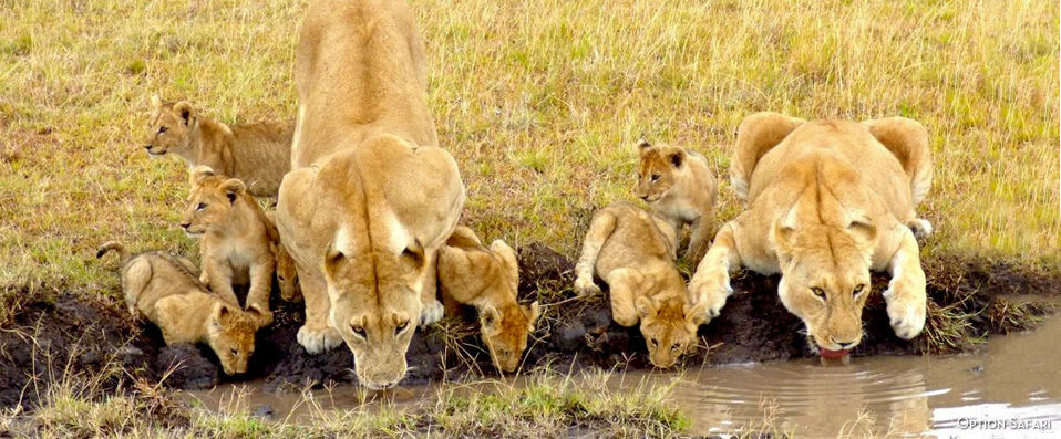Leopard Beach Resort & Spa ★★★★ - Cadre luxueux & safari… Vivez pleinement l’Afrique ! Demi-pension incluse. - Kenya