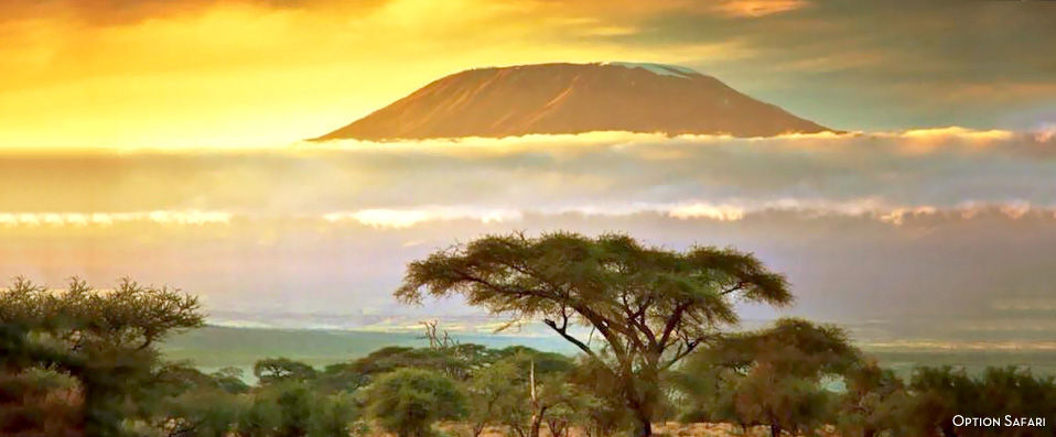 Leopard Beach Resort & Spa ★★★★ - Cadre luxueux & safari… Vivez pleinement l’Afrique ! Demi-pension incluse. - Kenya