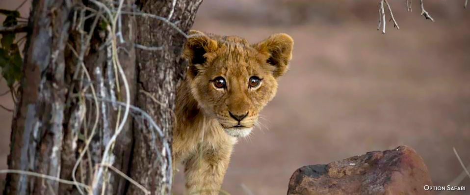 Leopard Beach Resort & Spa ★★★★ - Cadre luxueux & safari… Vivez pleinement l’Afrique ! Demi-pension incluse. - Kenya