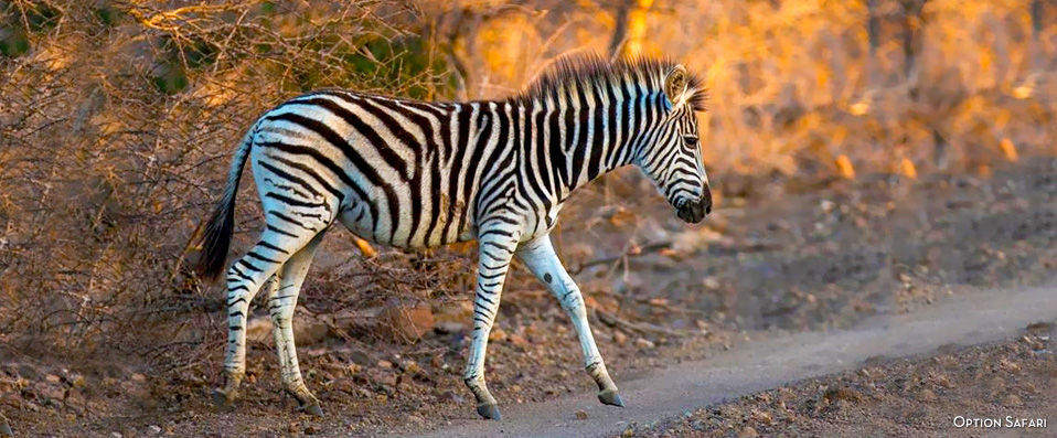 Leopard Beach Resort & Spa ★★★★ - Cadre luxueux & safari… Vivez pleinement l’Afrique ! Demi-pension incluse. - Kenya