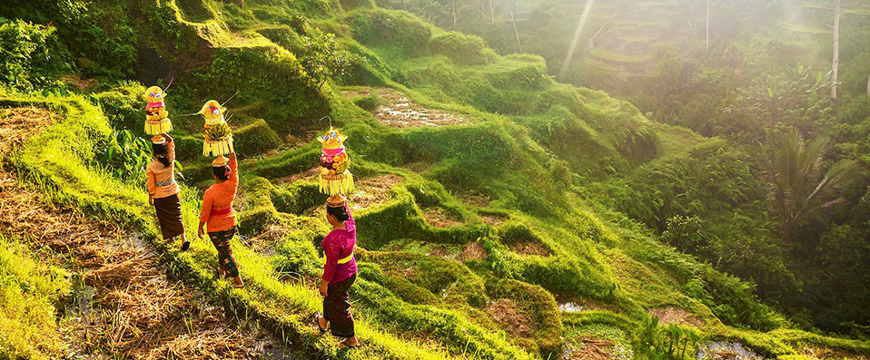 Visesa Ubud Resort ★★★★★ - An eco-friendly establishment at one with Bali’s natural beauty. - Bali, Indonesia