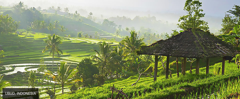 Visesa Ubud Resort ★★★★★ - An eco-friendly establishment at one with Bali’s natural beauty. - Bali, Indonesia