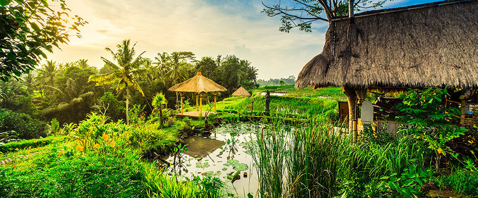 Visesa Ubud Resort ★★★★★ - An eco-friendly establishment at one with Bali’s natural beauty. - Bali, Indonesia