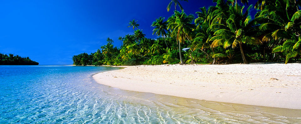 Habitation Grande Anse - Parenthèse créole dans un jardin luxuriant. - Guadeloupe, France