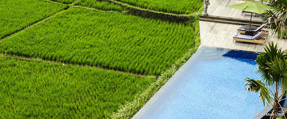 Combiné à Bali : Ubud & Jimbaran - 7, 10, 12 ou 14 nuits à la découverte de toutes les facettes de Bali. - Bali, Indonésie