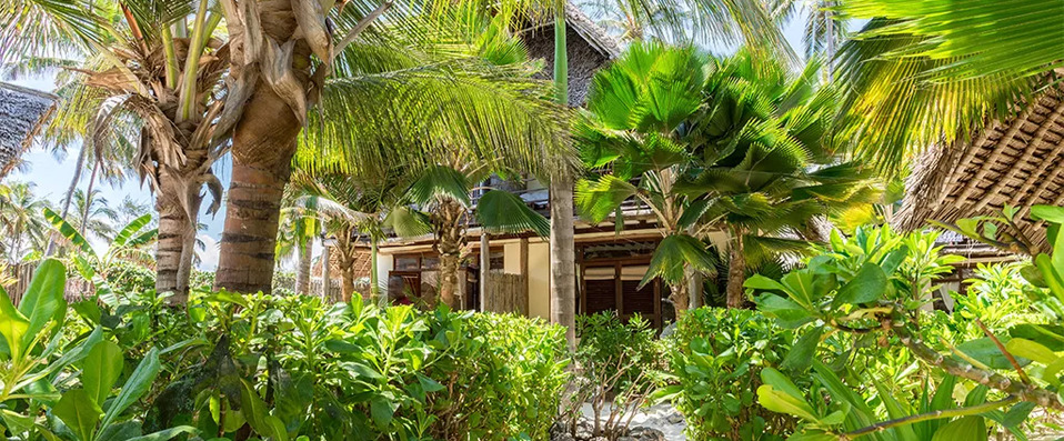 Sunshine Hotel -  - Zanzibar, Tanzania