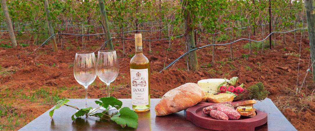 Tenuta Mosè Charming House and Relais - An aristocratic Italian mansion where beauty, taste and harmony meet. - Puglia, Italy