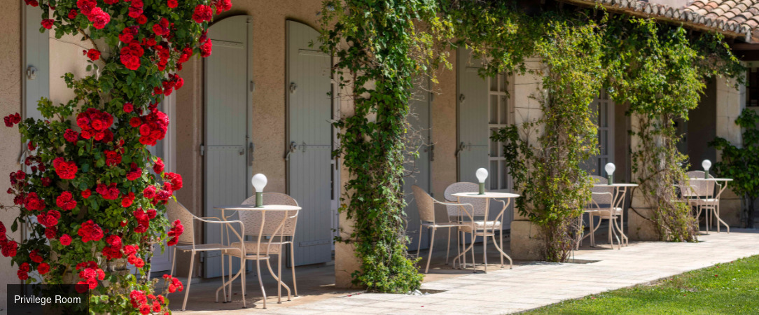 Le Mas de l'Oulivié ★★★★ - Soak up the sun amidst the world’s best olives. - Les Baux-de-Provence, France