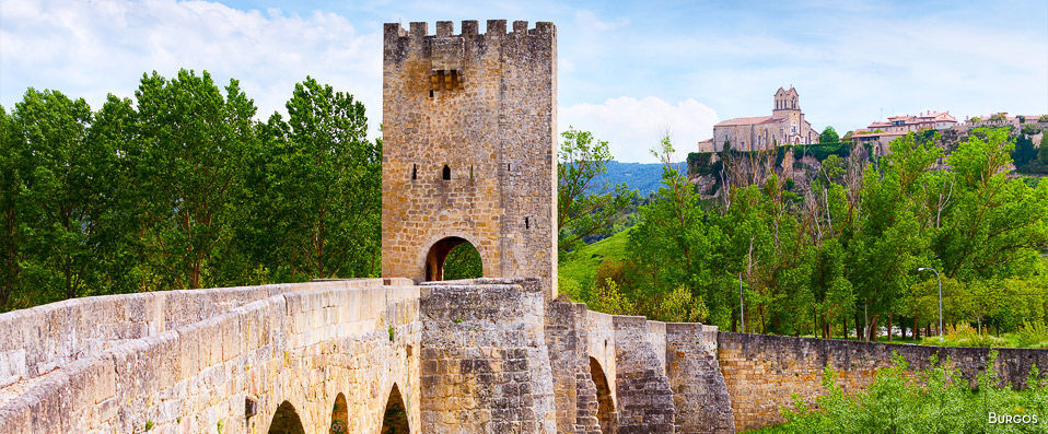 Hotel el Lagar de Isilla ★★★★  - Relish a holiday in La Vid’s beautiful wine region - Castille-et-León, Spain