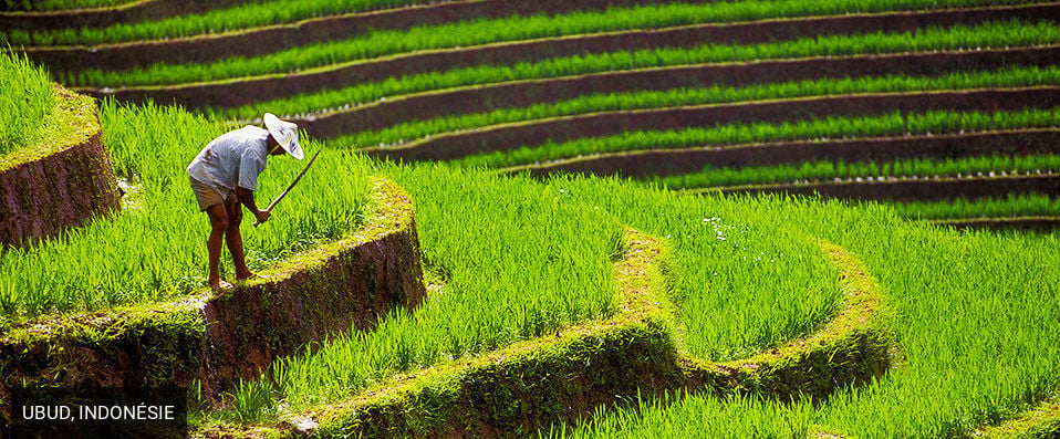 Atta Mesari Resort & Spa ★★★★ - Retraite intime & paisible au milieu des collines verdoyantes d’Ubud. - Bali, Indonésie