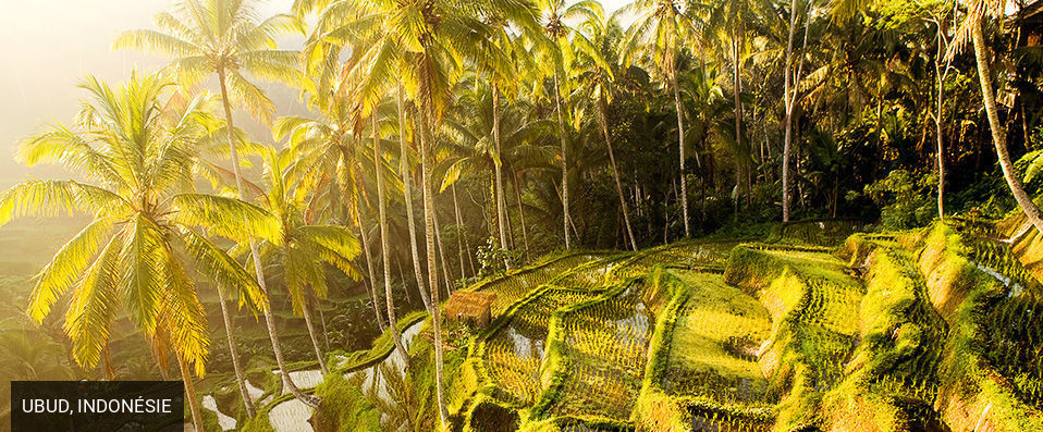 Atta Mesari Resort & Spa ★★★★ - Retraite intime & paisible au milieu des collines verdoyantes d’Ubud. - Bali, Indonésie