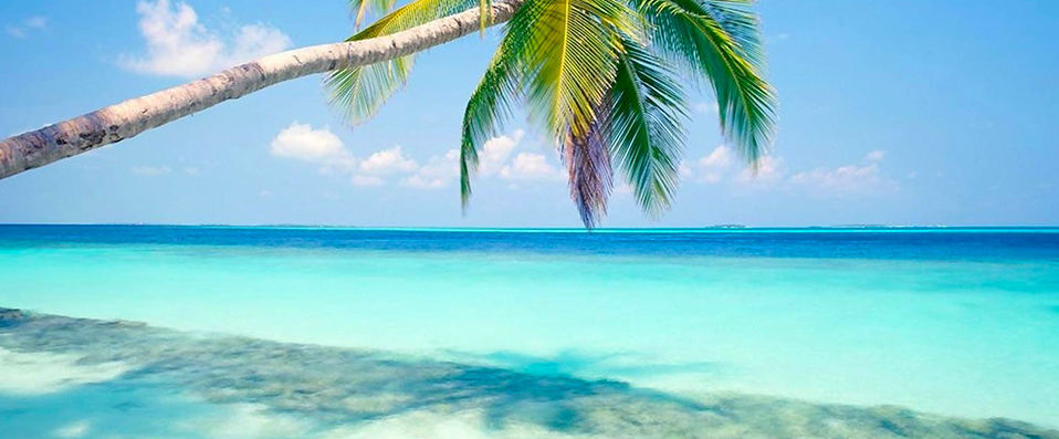 Magic Blue Boutique Hotel Playa del Carmen ★★★★ -  - Playa del Carmen, Mexique
