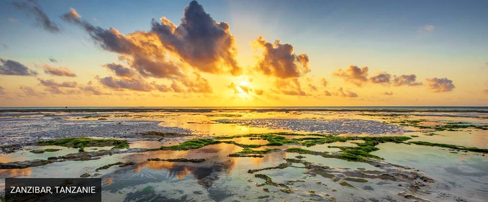 Hakuna Majiwe Zanzibar ★★★★ - Un paradis intimiste à Zanzibar. - Zanzibar, Tanzanie