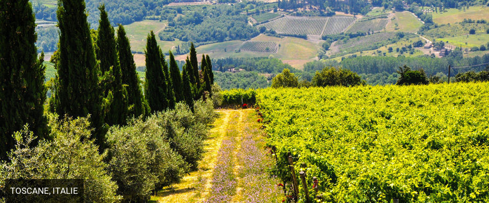 Fattoria Castelvecchi - Échappée bucolique au cœur des collines du Chianti. - Toscane, Italie