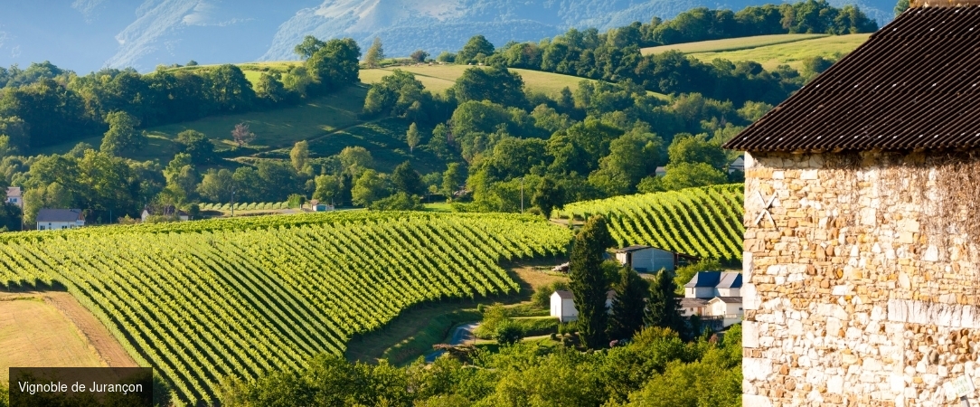 Hôtel Parc Beaumont Pau - MGallery Collection ★★★★★ - Chic & élégance en pleine nature. - Pau, France