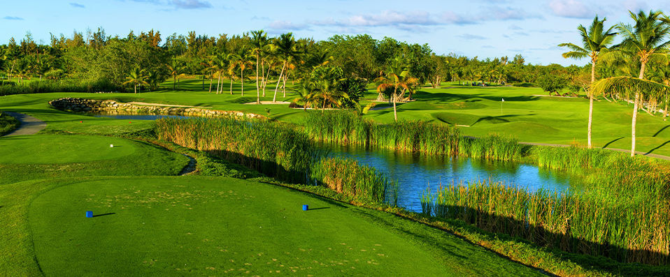 Barcelo Bavaro Beach ★★★★★ - Adults Only - Escape to an adults-only paradise in this Dominican Republic. - Punta Cana, Dominican Republic