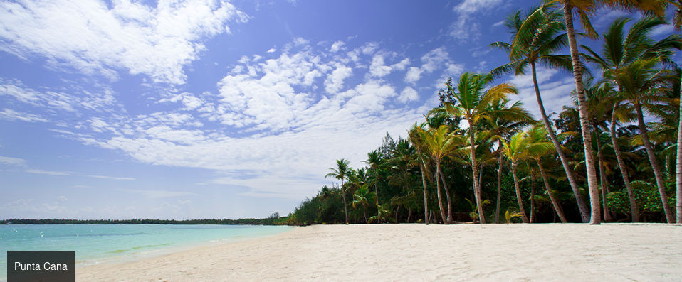 Barcelo Bavaro Beach ★★★★★ - Adults Only - Escape to an adults-only paradise in this Dominican Republic. - Punta Cana, Dominican Republic