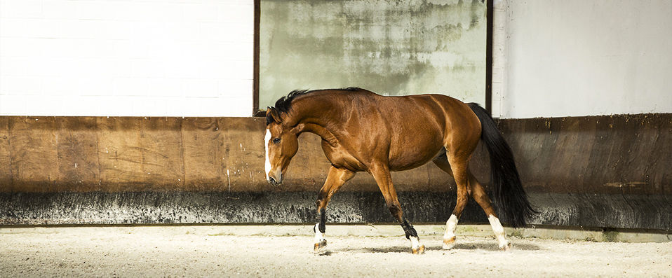 L'Étoile de Pompadour, Sports & Wellness Domain - Activities and pampering worthy of the purest thoroughbreds! - Corrèze, France