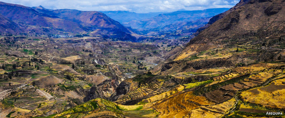Circuit au Pérou : les trésors du sud des Andes -  - Peru