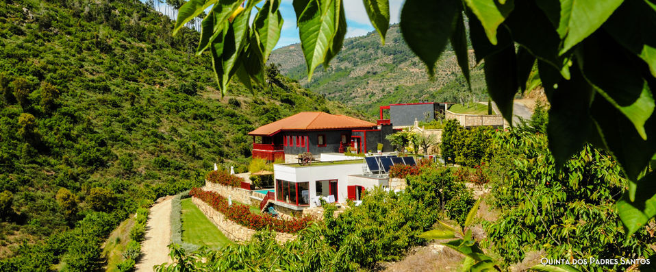 Autotour au Portugal : Porto & Vallée du Douro - 5 jours & 4 nuits à la découverte des splendeurs de Porto et des vignes du Douro. - Portugal