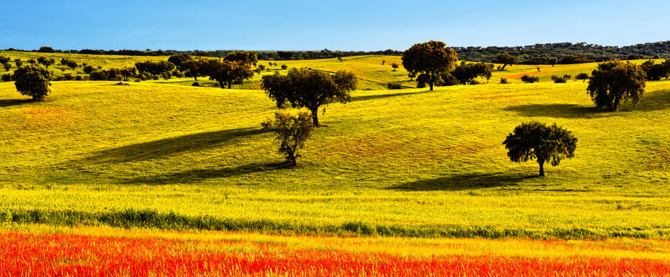 Santiago Hotel Cooking & Nature ★★★★ - Four-star luxury in southern Portugal’s charming countryside. - Alentejo, Portugal