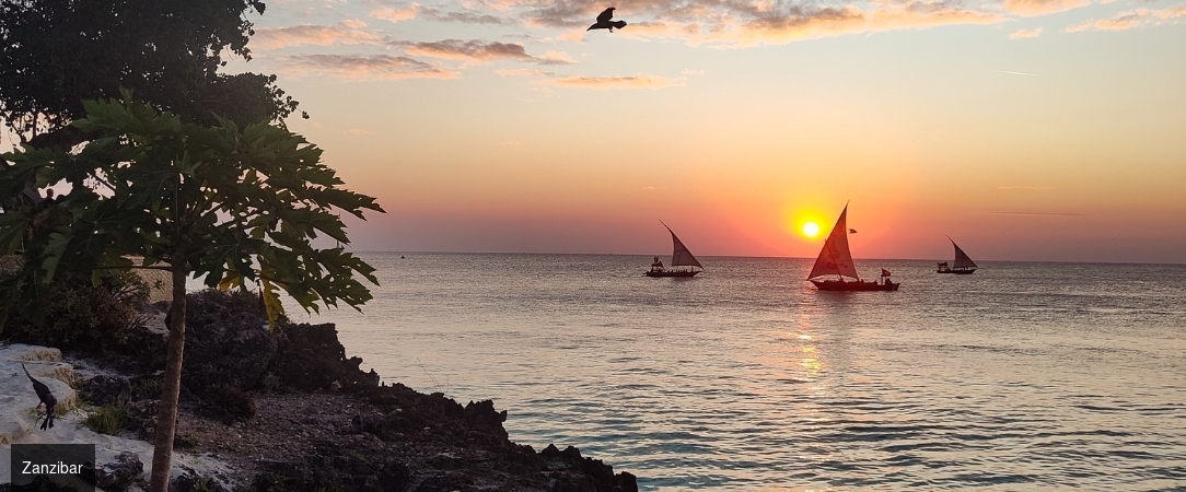 Fruit & Spice Wellness Resort Zanzibar ★★★★★ - 5 étoiles au cœur d'une magnifique oasis verte. - Zanzibar, Tanzanie