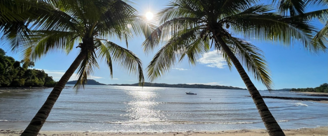 Ravintsara Wellness Hotel ★★★★ - Sugar, spice and everything nice: luxuriate in exotic Madagascar. - Nosy Be Island, Madagascar