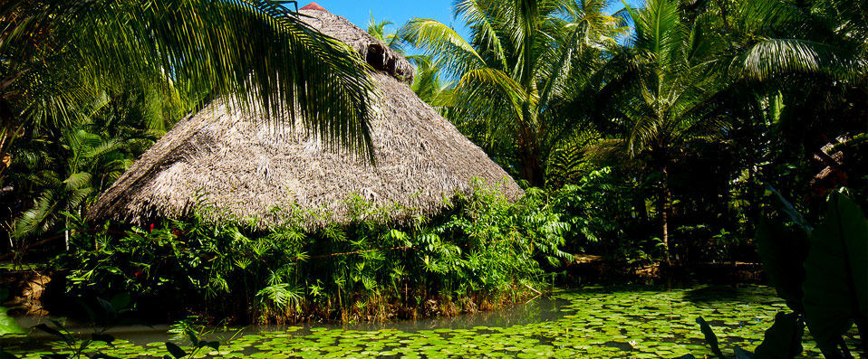 Ravintsara Wellness Hotel ★★★★ - Sugar, spice and everything nice: luxuriate in exotic Madagascar. - Nosy Be Island, Madagascar