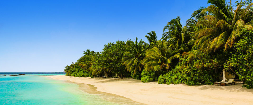 Vakarufalhi Island Resort ★★★★ - En toute intimité dans un paradis sur terre.<b> All Inclusive !</b> - Maldives