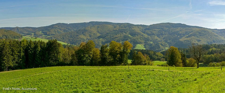 Parkhotel Luise - Into the woods for secluded spa hotel relaxation. - Black Forest, Germany