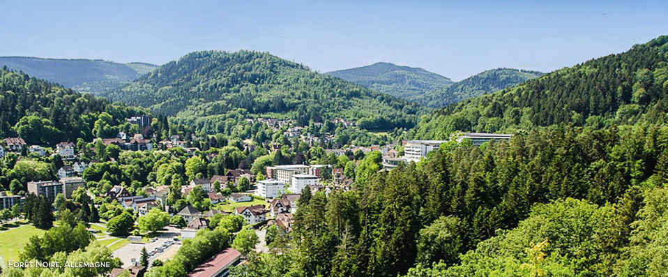 Parkhotel Luise - Into the woods for secluded spa hotel relaxation. - Black Forest, Germany