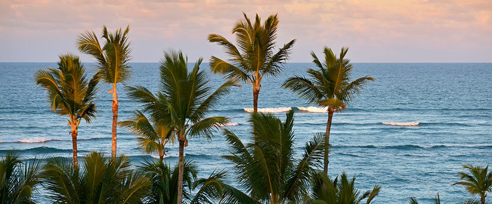Iberostar Dominicana ★★★★★ All Inclusive Resort - 5 étoiles en All inclusive dans les Caraïbes, l'idéal pour profiter en famille. - Punta Cana, République dominicaine