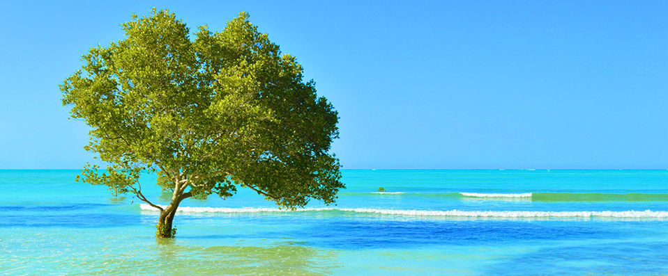 White Paradise Zanzibar ★★★★ - Un véritable petit coin de paradis sous le soleil de Zanzibar. - Zanzibar, tanzanie