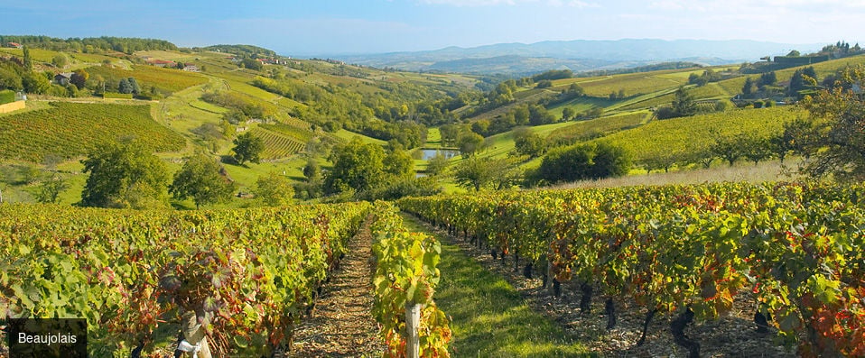 Château de Pizay ★★★★ - Escapade détente au cœur du Beaujolais. - Beaujolais, France