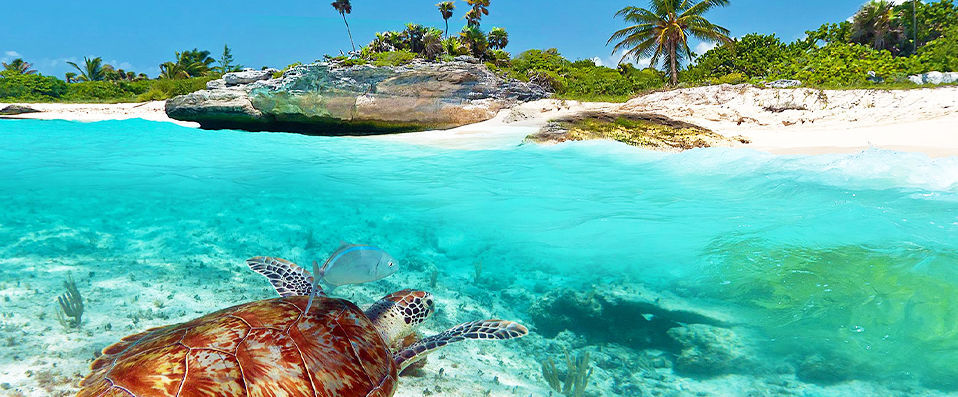 Royal Hideaway Playacar ★★★★★ - Adults Only - Séjour royal en All Inclusive sur la Riviera Maya. <b>All Inclusive !</b> - Playa del Carmen, Mexique