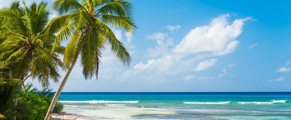 Occidental Punta Cana Resort ★★★★★ - Les pieds dans les eaux cristallines de Punta Cana en All Inclusive. - Punta Cana, République dominicaine